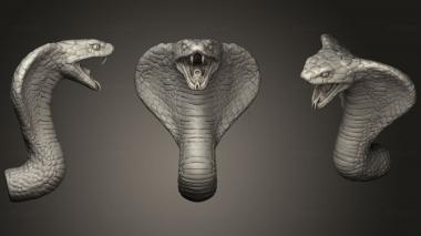 3D model Cobra Head (STL)